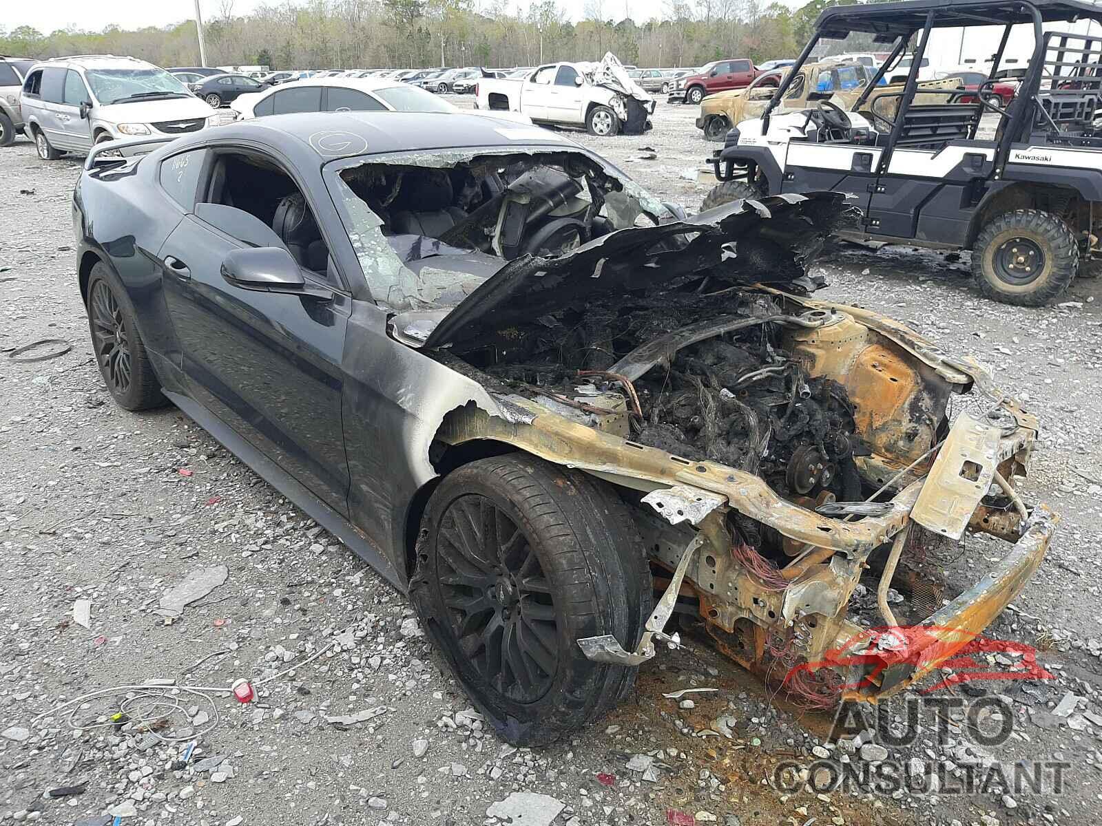 FORD MUSTANG 2019 - 1FA6P8CF2K5124254