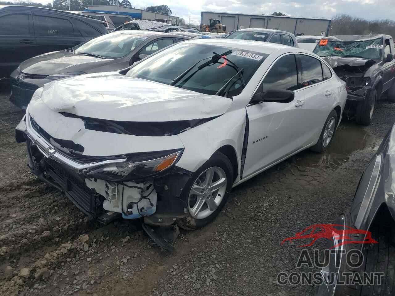 CHEVROLET MALIBU 2019 - 1G1ZB5ST9KF124640