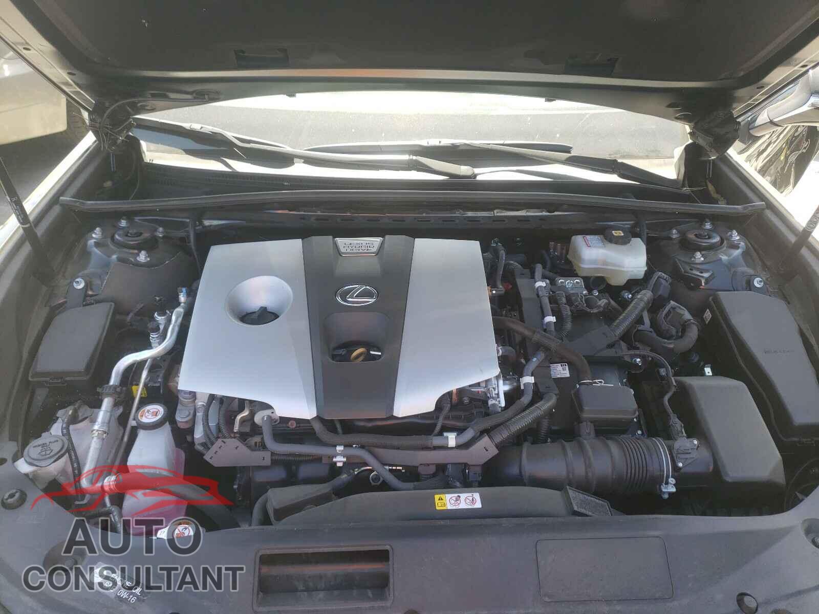 LEXUS ES300 2020 - 58AD21B16LU011514