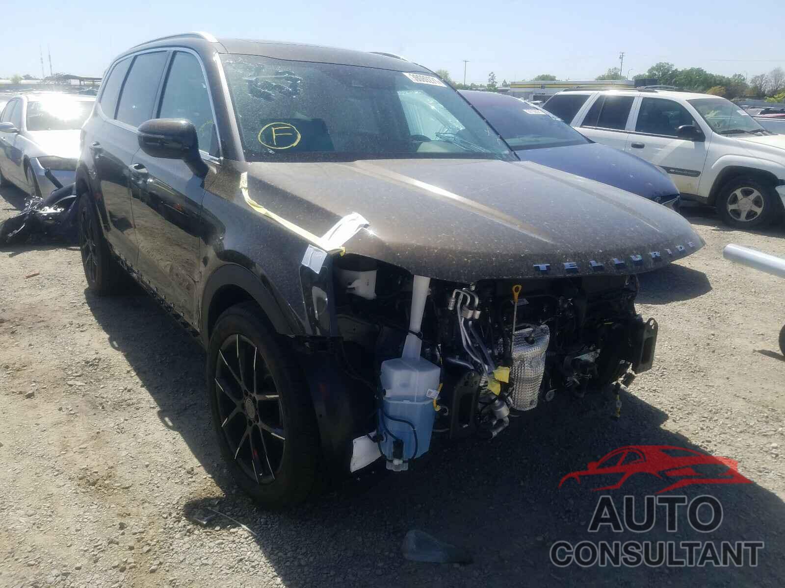 KIA TELLURIDE 2021 - 5XYP3DHC7MG119417