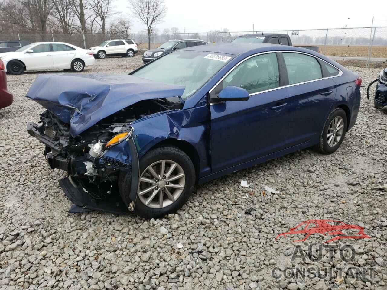 HYUNDAI SONATA 2019 - 5NPE24AF2KH794788