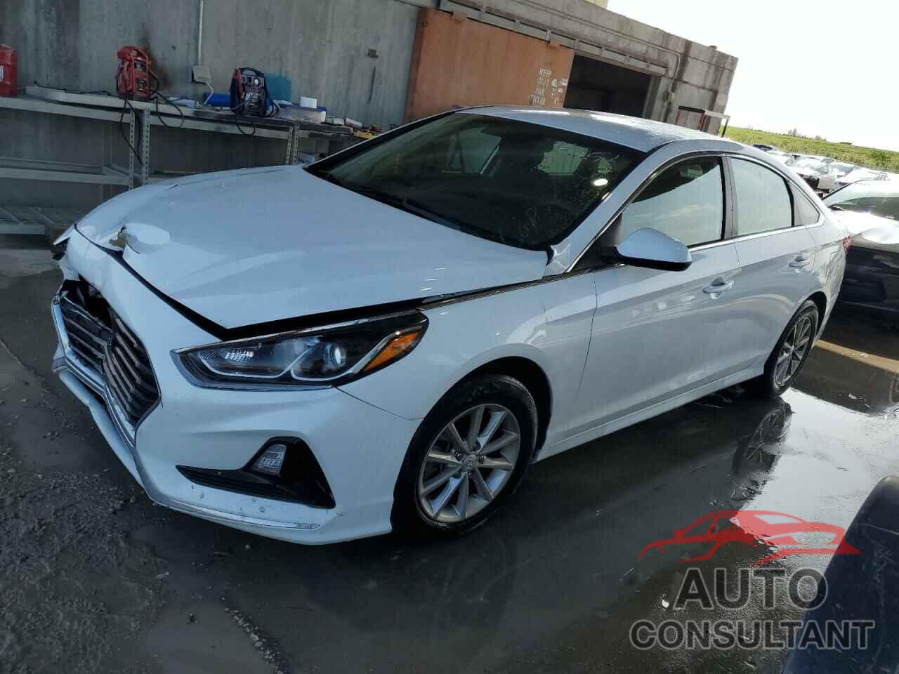 HYUNDAI SONATA 2019 - 5NPE24AF0KH790352