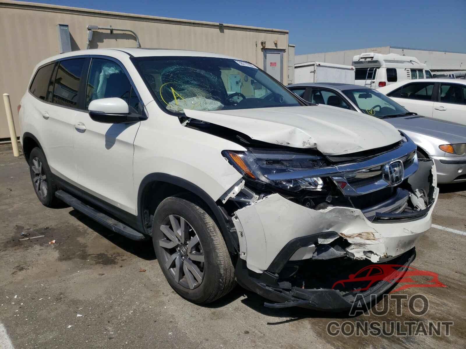 HONDA PILOT 2019 - 5FNYF6H55KB055357
