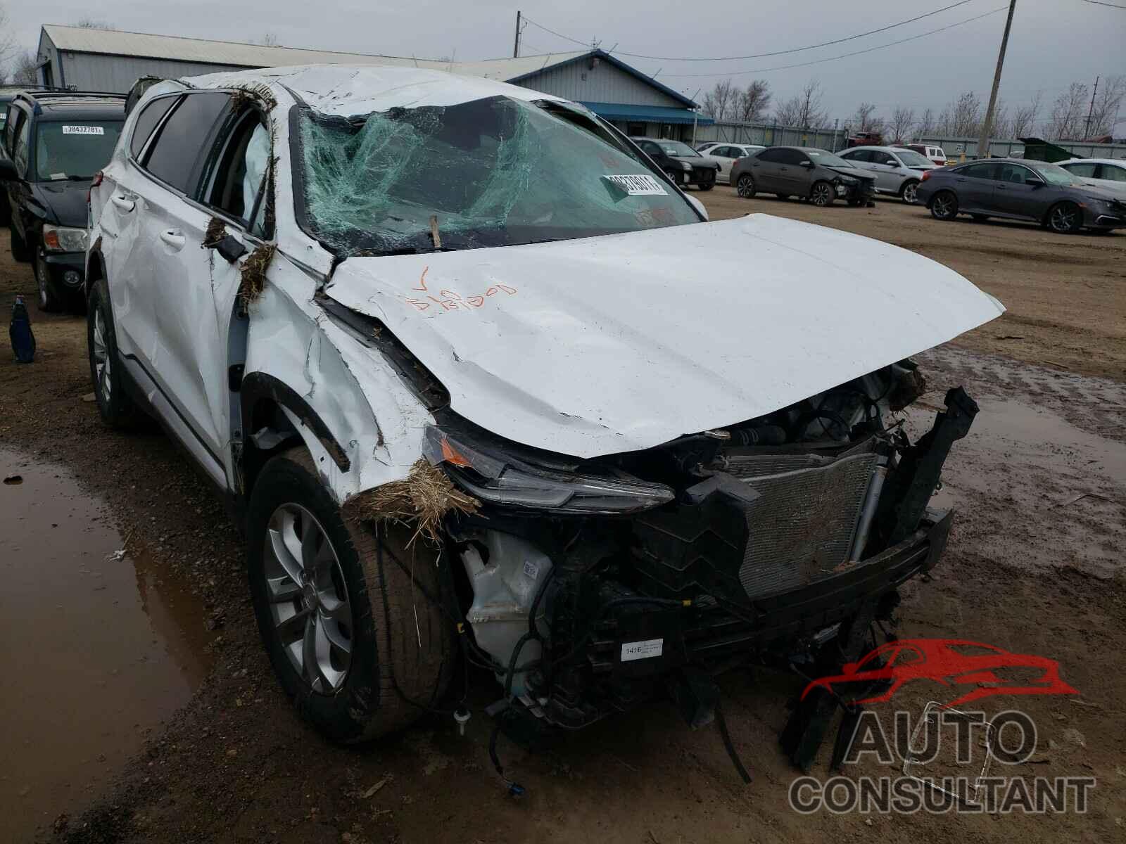 HYUNDAI SANTA FE 2019 - 5NMS2CAD8KH053957