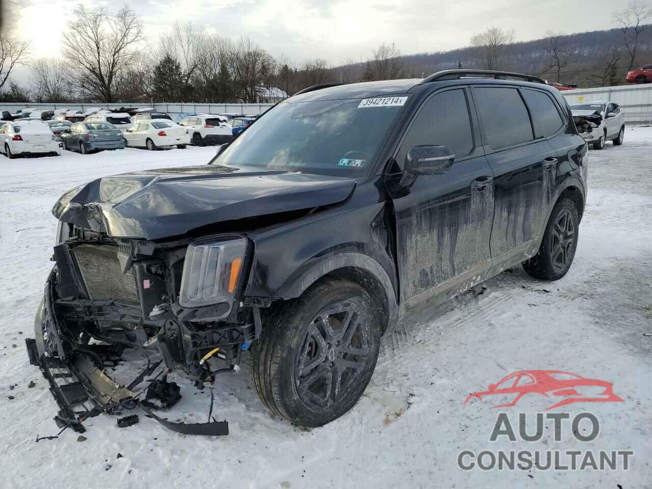 KIA TELLURIDE 2023 - 5XYP5DGCXPG331678