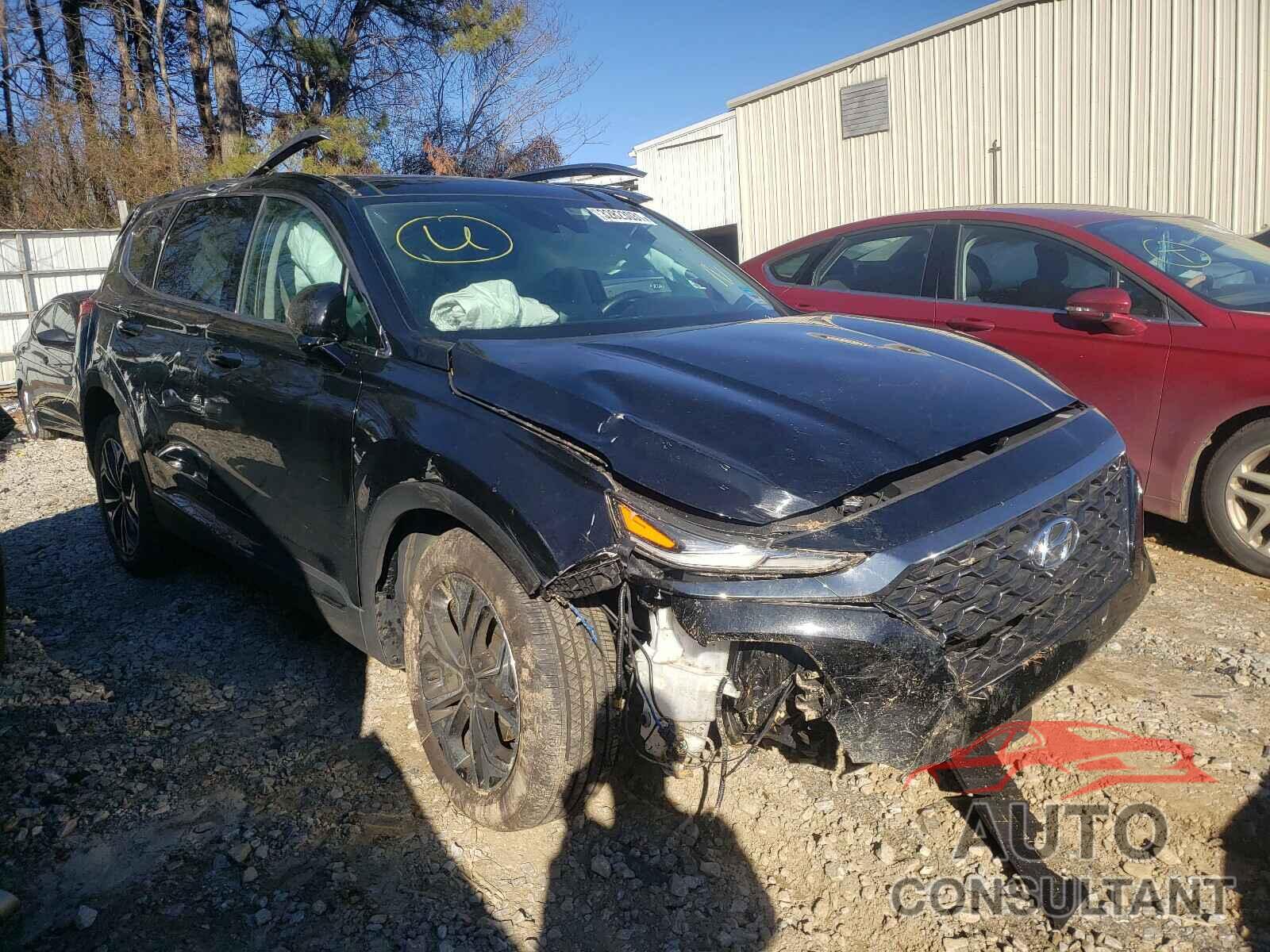 HYUNDAI SANTA FE 2019 - 5NMS53AA1KH013748