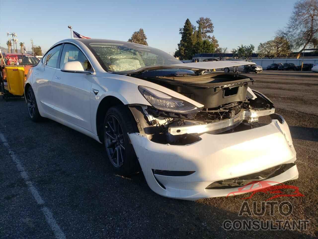 TESLA MODEL 3 2020 - 5YJ3E1EA9LF800081
