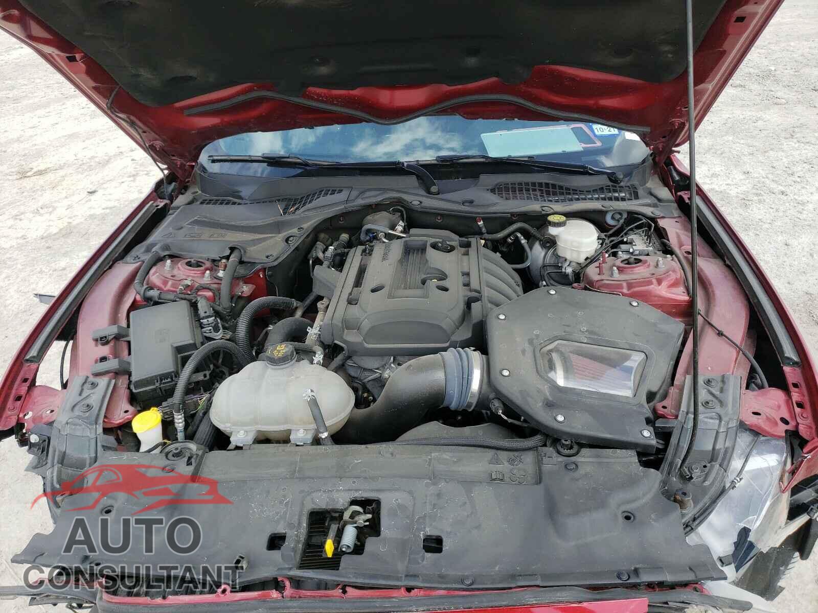 FORD MUSTANG 2019 - 1FA6P8TH8K5115088