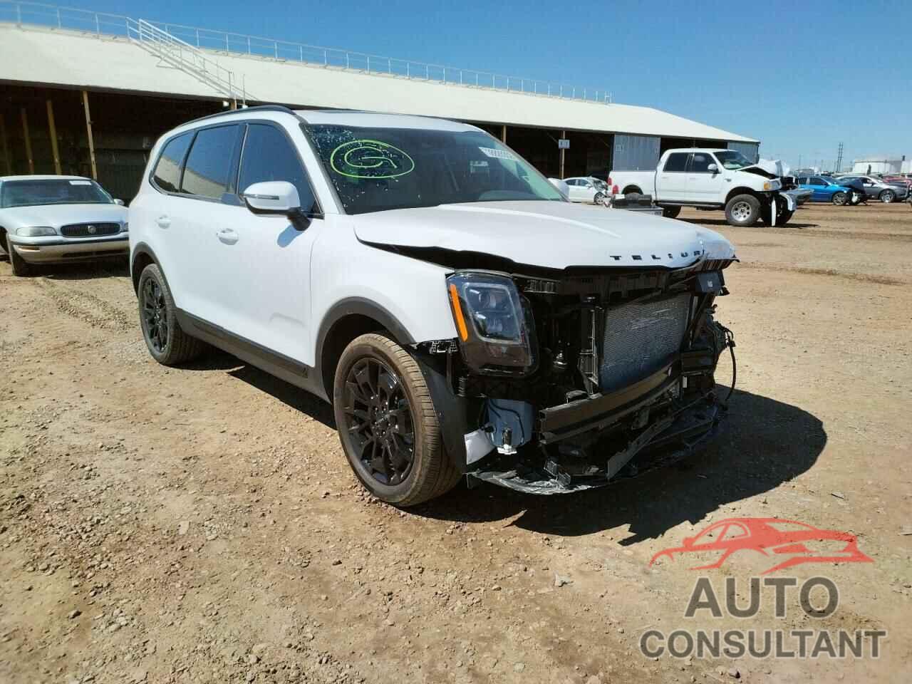 KIA TELLURIDE 2022 - 5XYP3DHC8NG246890