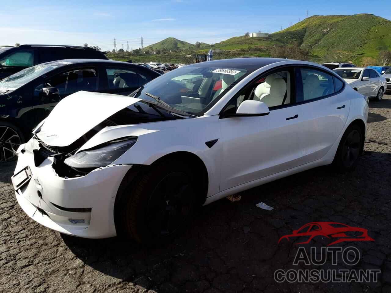 TESLA MODEL 3 2021 - 5YJ3E1EA8MF873332