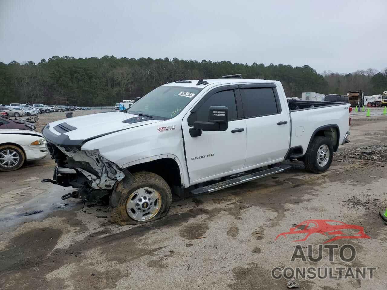 CHEVROLET SILVERADO 2020 - 1GC4YLE73LF130969