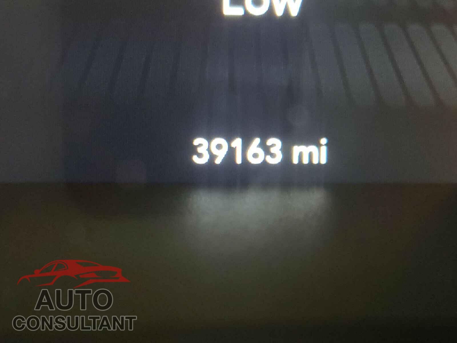DODGE CHALLENGER 2019 - 2C3CDZAG3KH631796