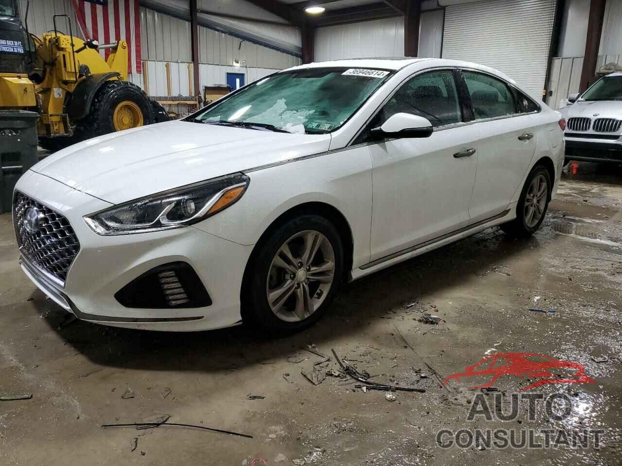 HYUNDAI SONATA 2019 - 5NPE34AF7KH820315