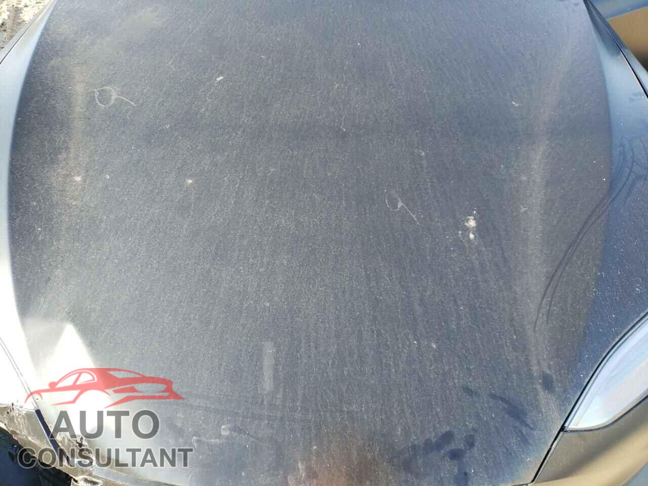 TESLA MODEL S 2016 - 5YJSA1E21GF143640
