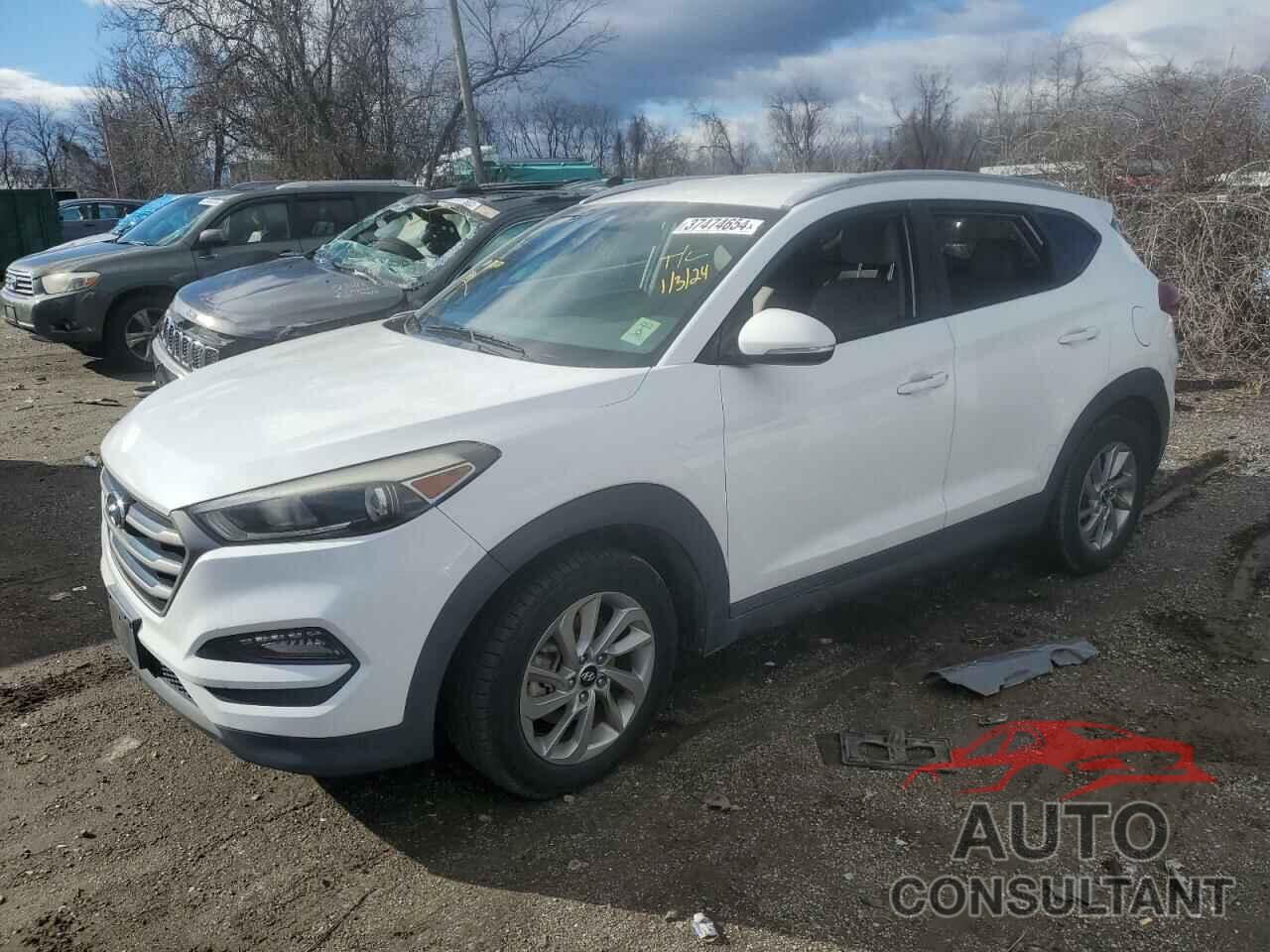 HYUNDAI TUCSON 2016 - KM8J33A24GU157297