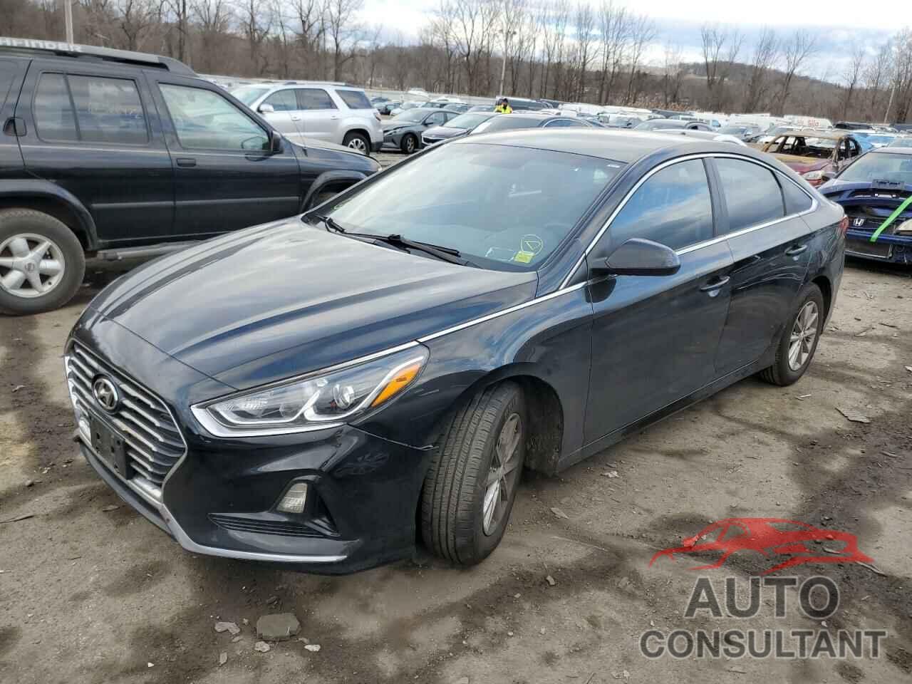 HYUNDAI SONATA 2019 - 5NPE24AF5KH742944