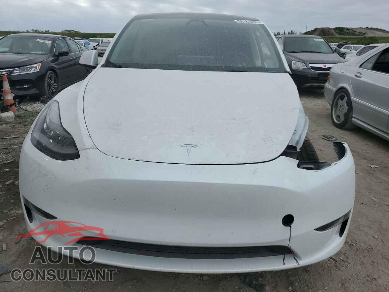 TESLA MODEL Y 2021 - 5YJYGDEE2MF296043
