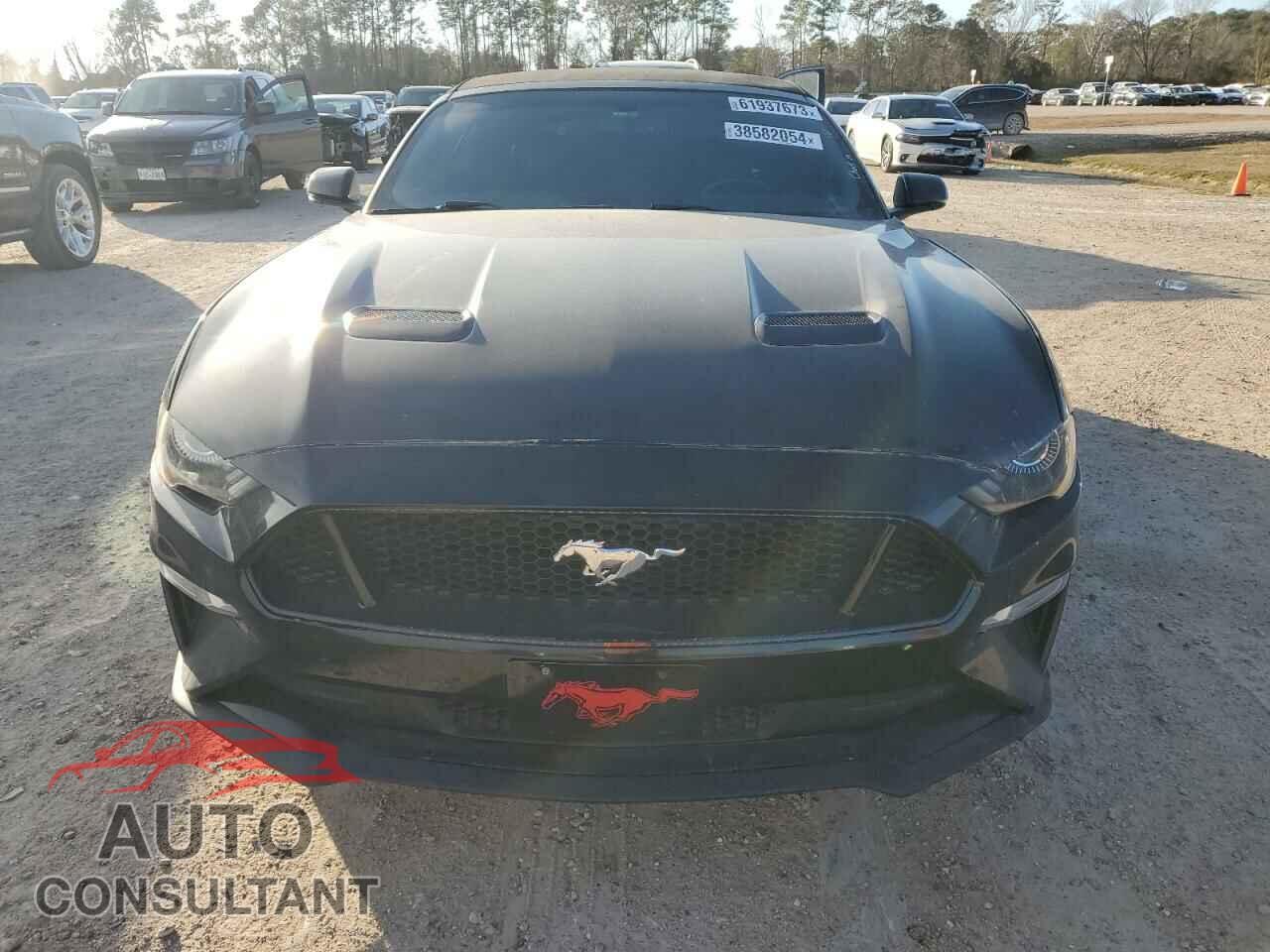 FORD MUSTANG 2019 - 1FATP8FF3K5171078