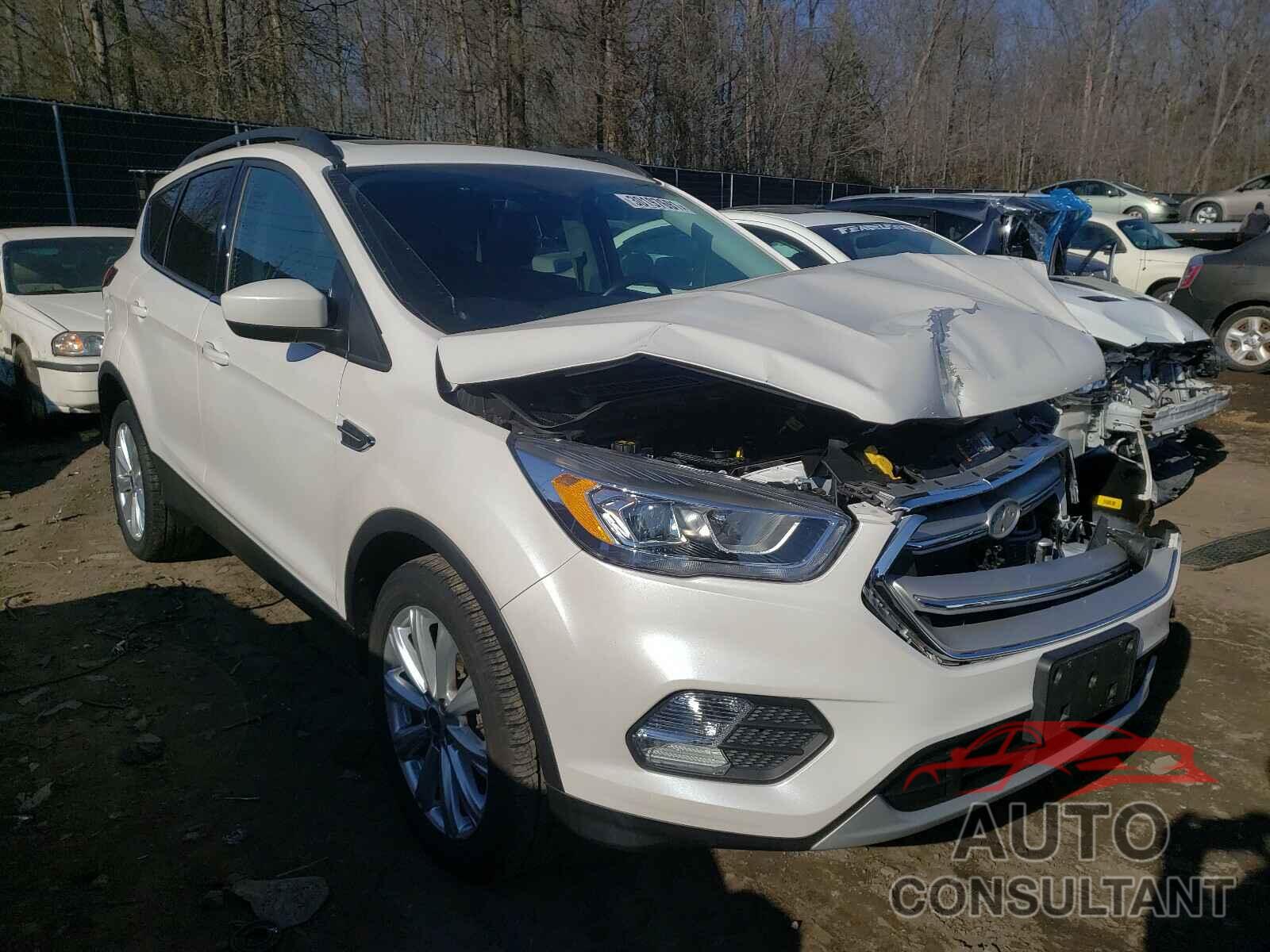 FORD ESCAPE 2019 - 1FMCU0HD8KUB49241