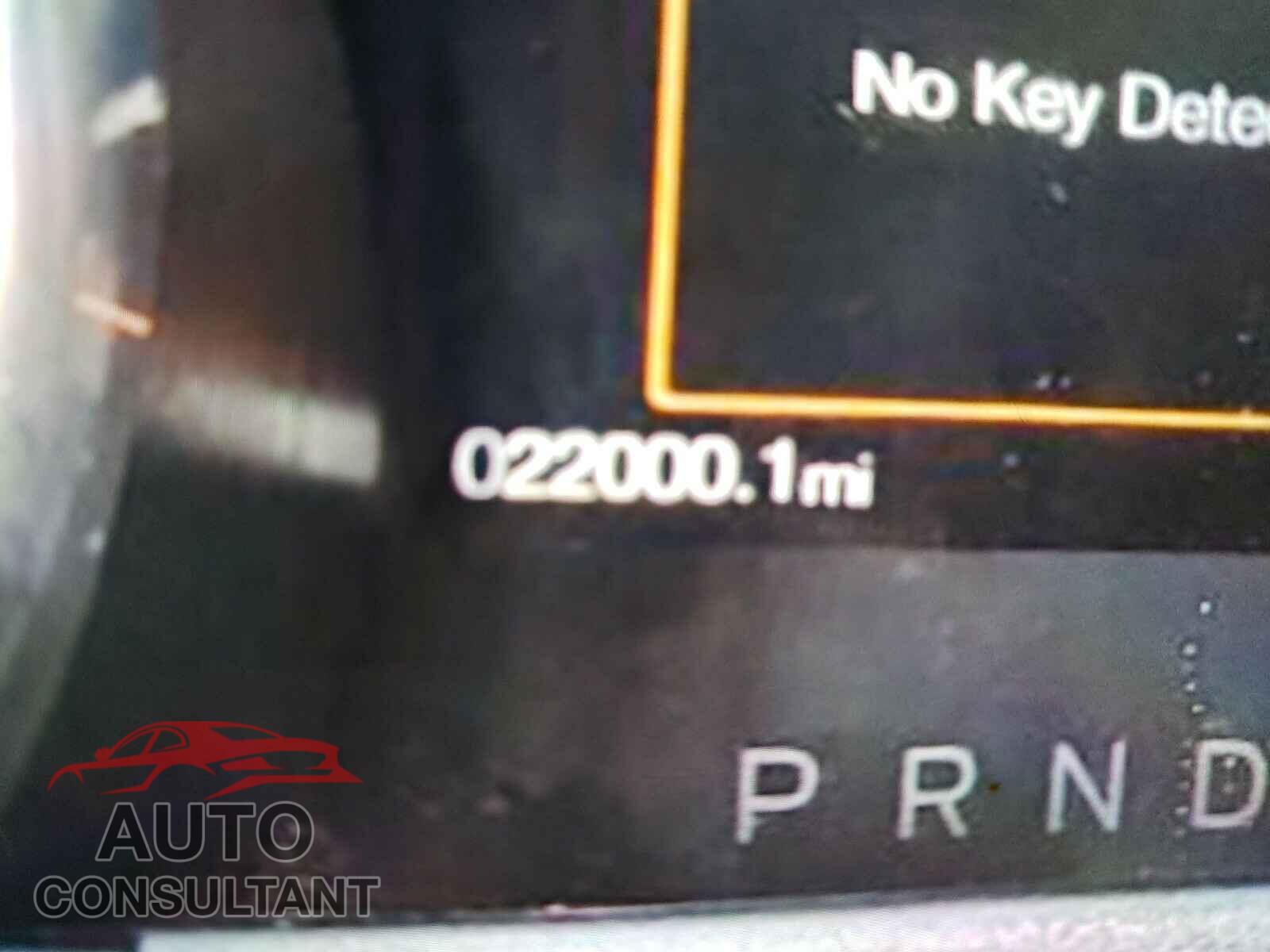 FORD MUSTANG 2020 - 1FA6P8CF3L5111899