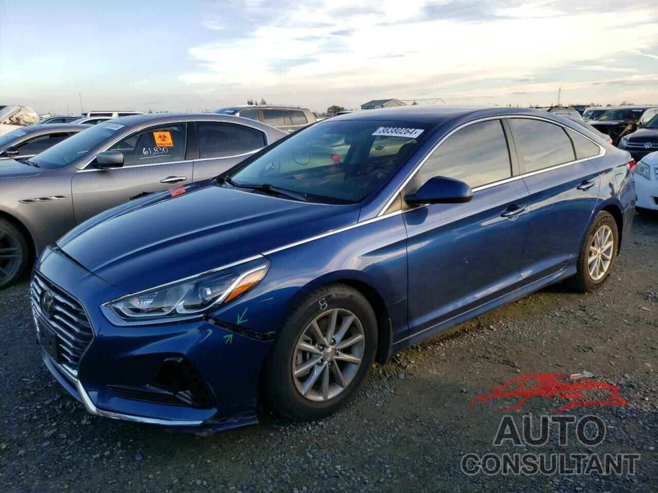 HYUNDAI SONATA 2019 - 5NPE24AF4KH805628