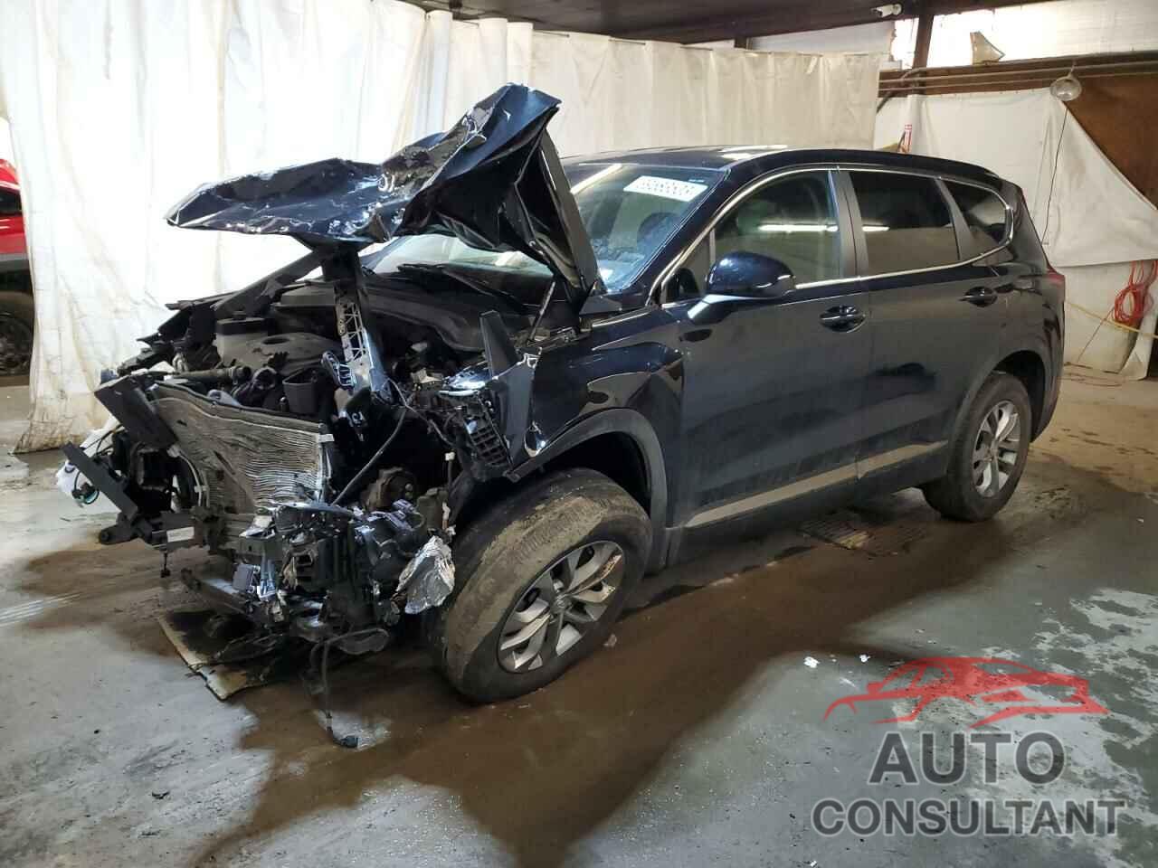 HYUNDAI SANTA FE 2019 - 5NMS2CAD2KH011638