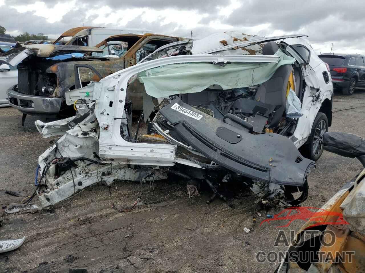 HYUNDAI TUCSON 2019 - KM8J33AL7KU875010