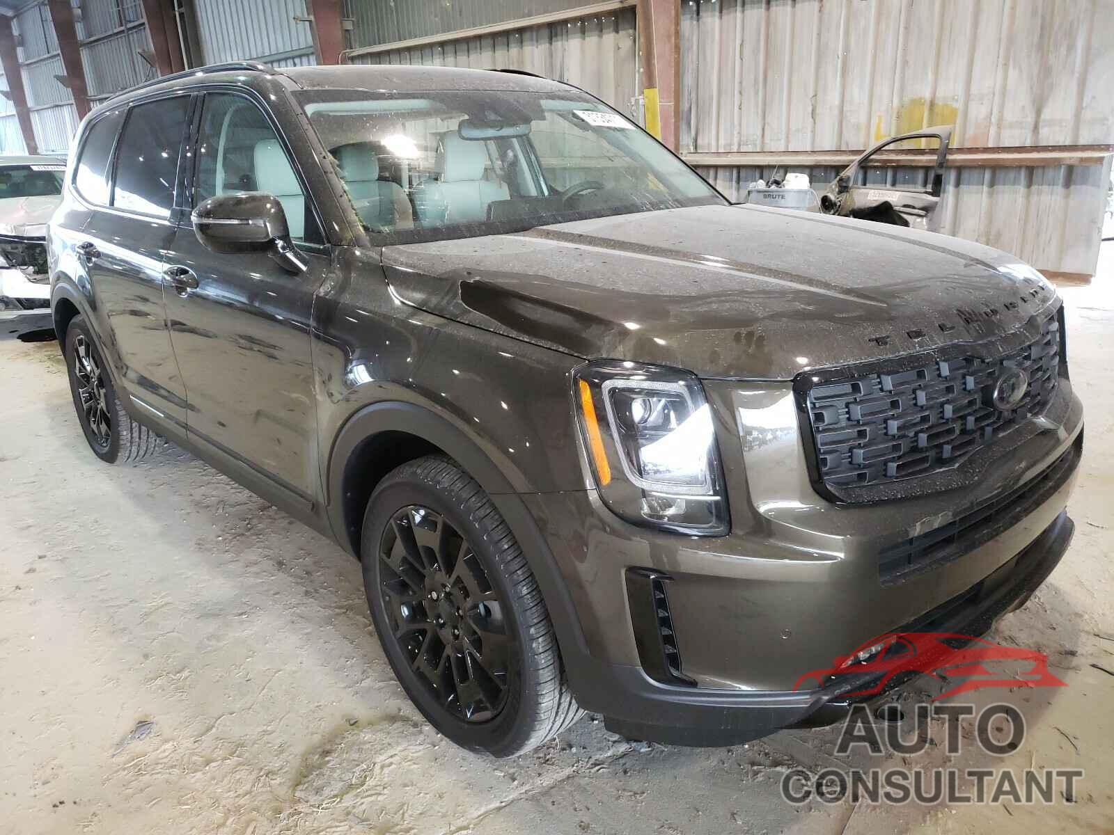 KIA TELLURIDE 2021 - 5XYP5DHC0MG099005