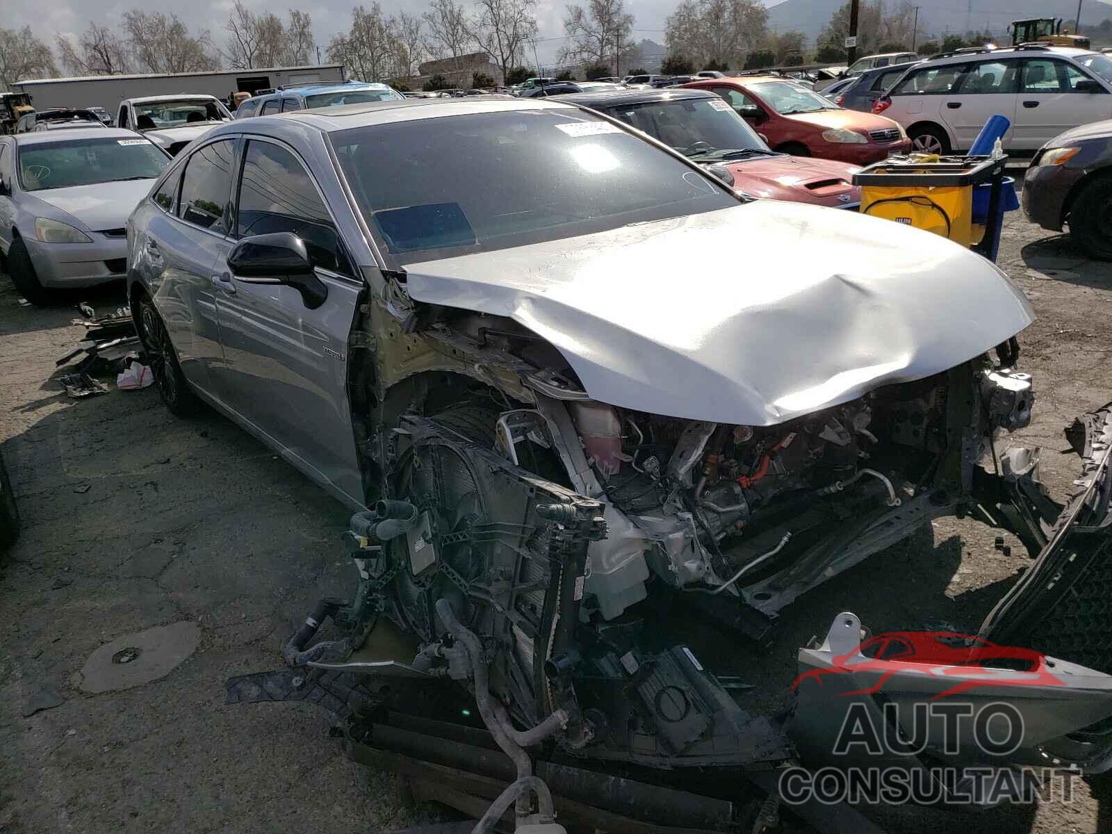 TOYOTA AVALON 2019 - 4T1B21FB1KU001263