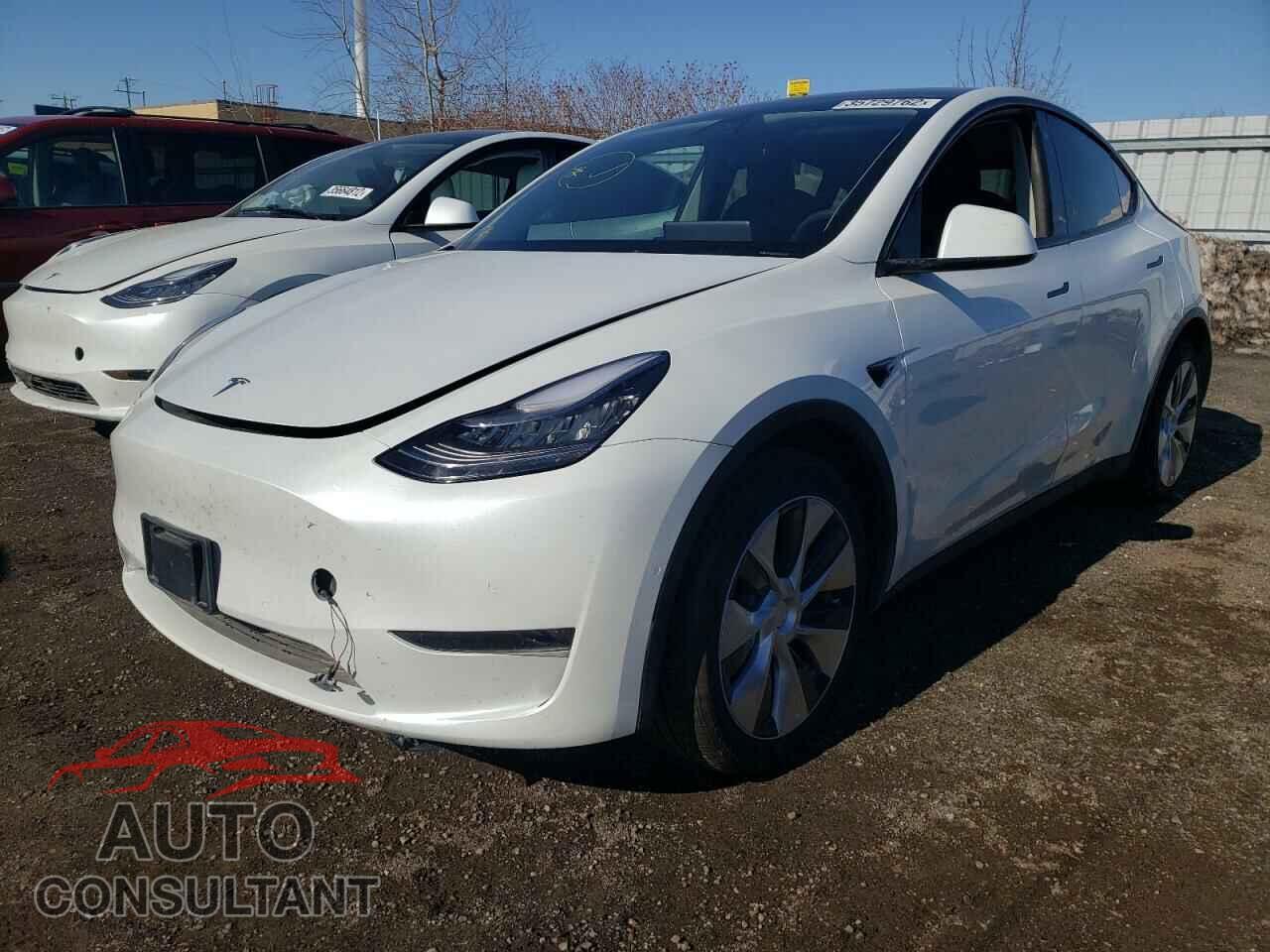 TESLA MODEL Y 2021 - 5YJYGDEE7MF093455