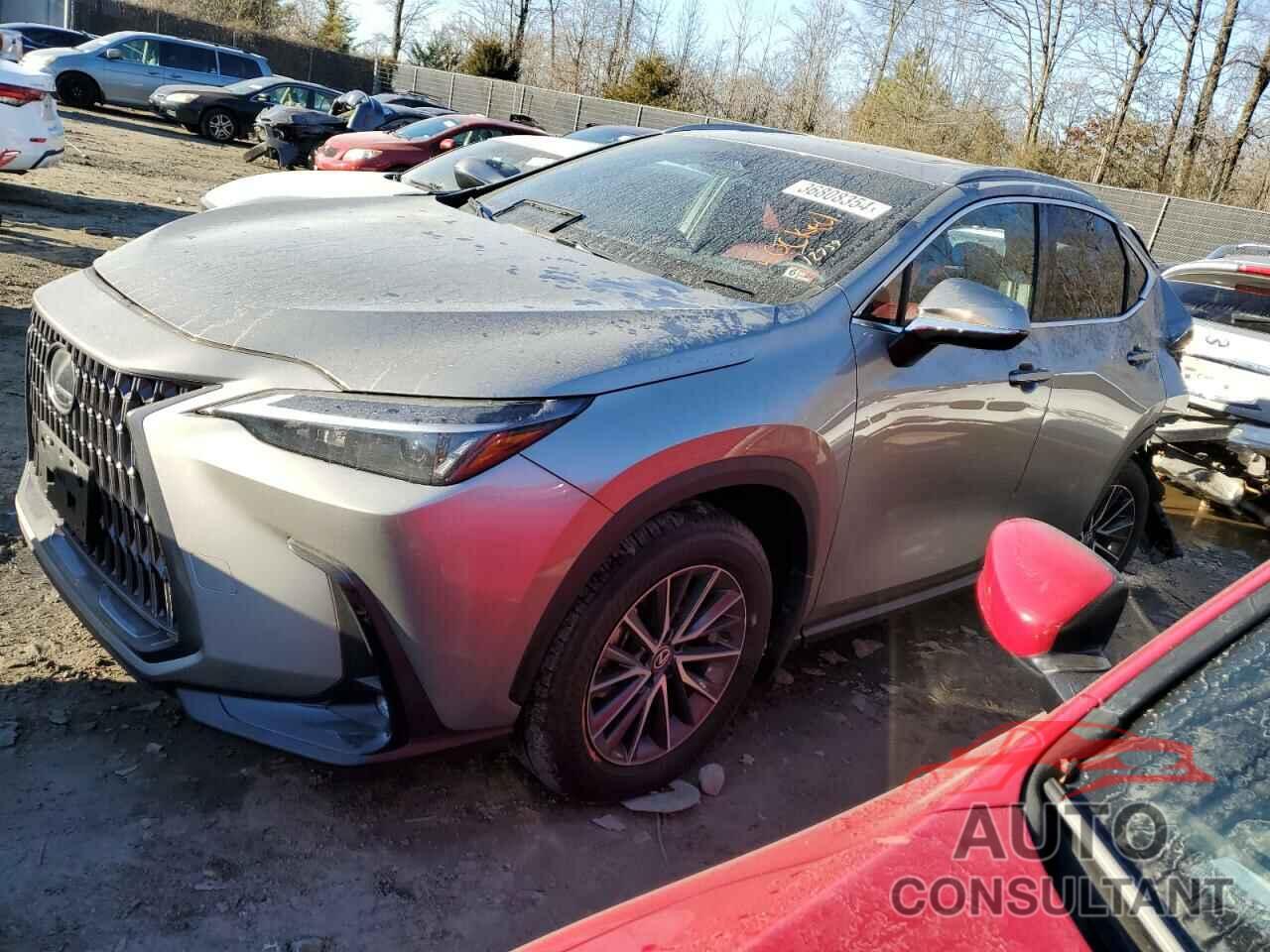 LEXUS NX 350H BA 2024 - 2T2AKCEZ0RC017189