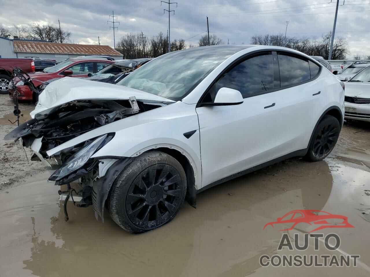 TESLA MODEL Y 2021 - 5YJYGDEE9MF071134