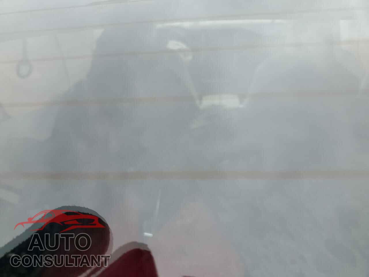 TESLA MODEL S 2019 - 5YJSA1E40KF313898