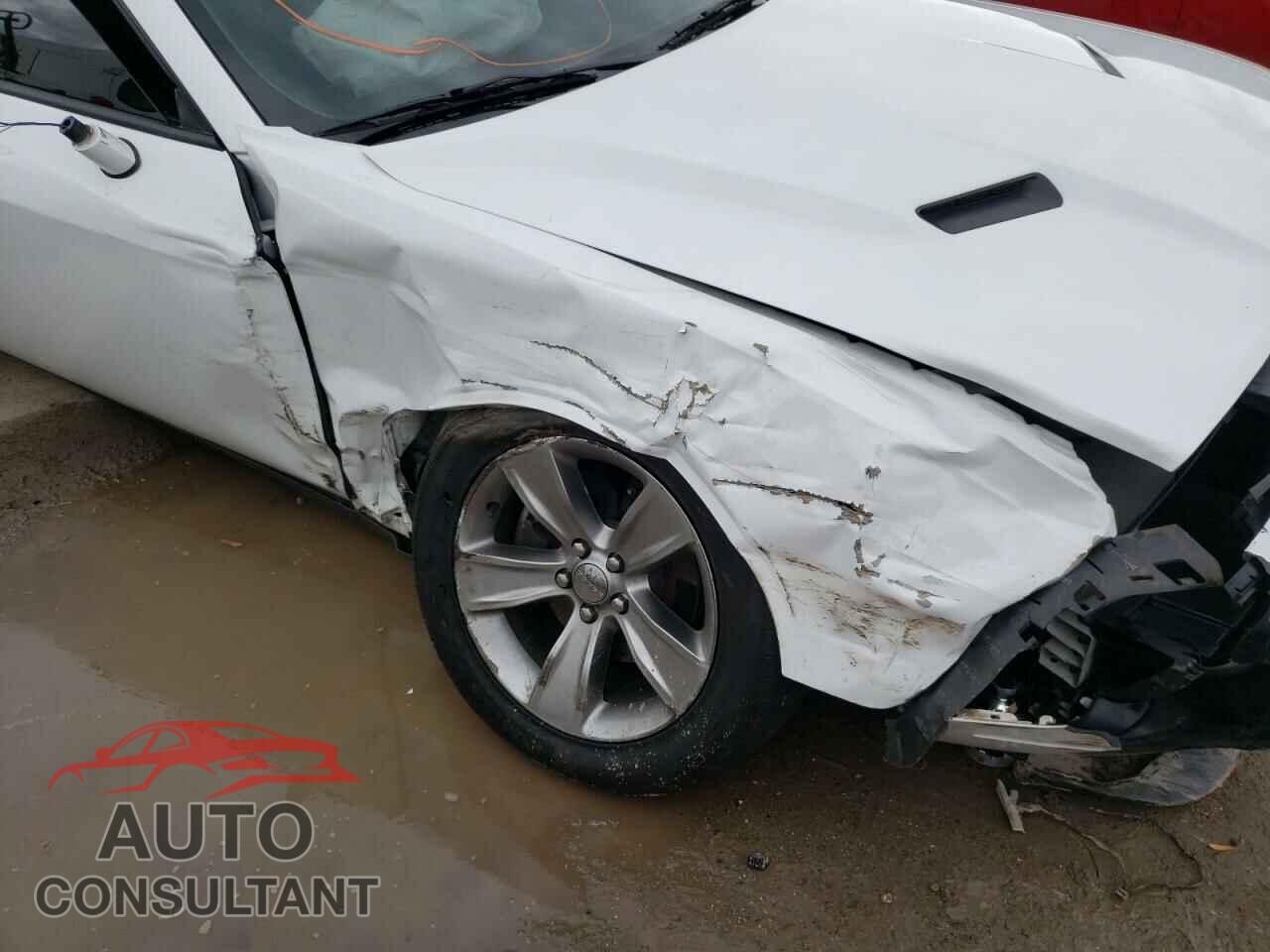 DODGE CHALLENGER 2019 - 2C3CDZAG2KH723501