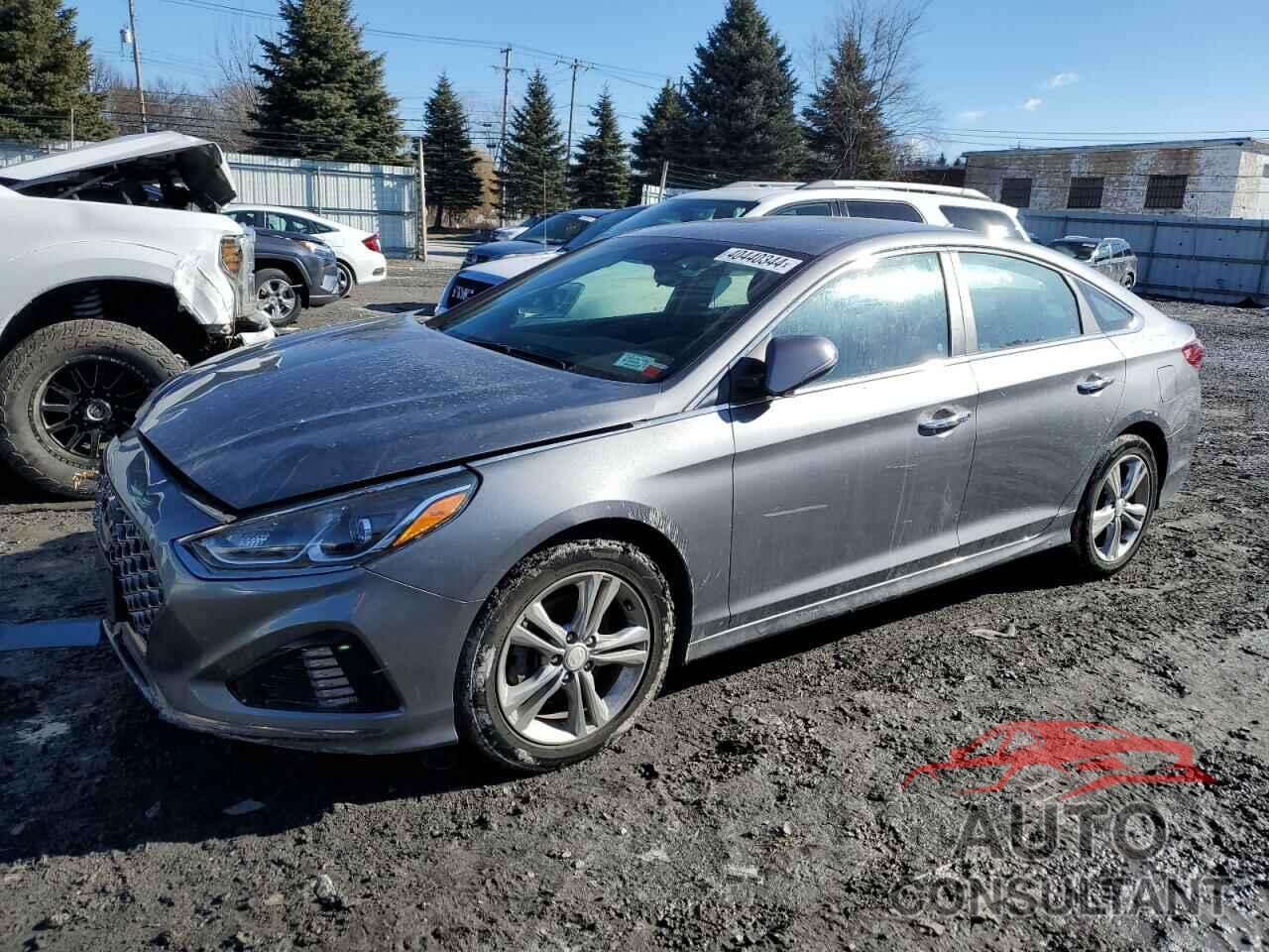 HYUNDAI SONATA 2019 - 5NPE34AF3KH745371