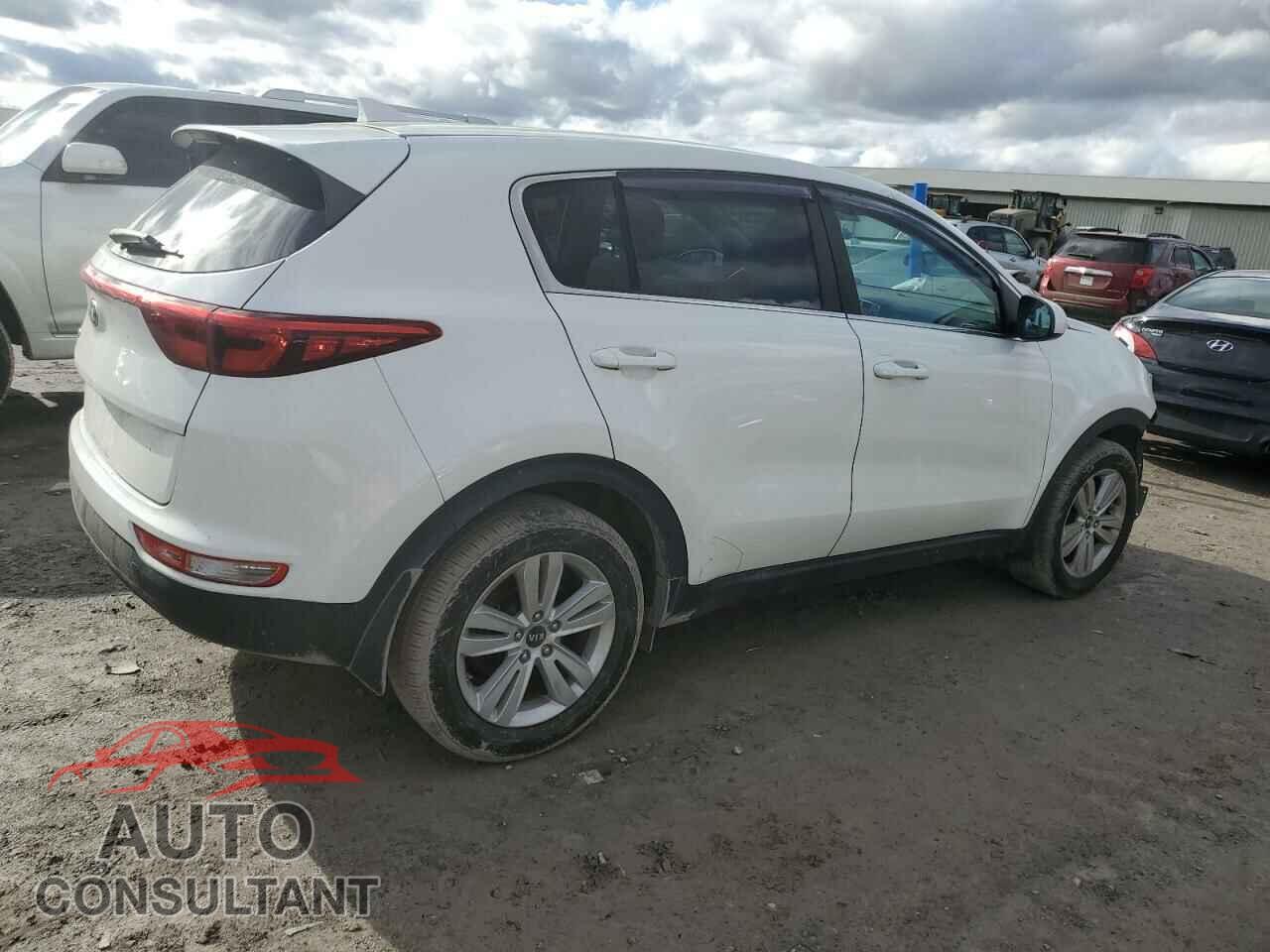 KIA SPORTAGE 2017 - KNDPM3AC4H7207877