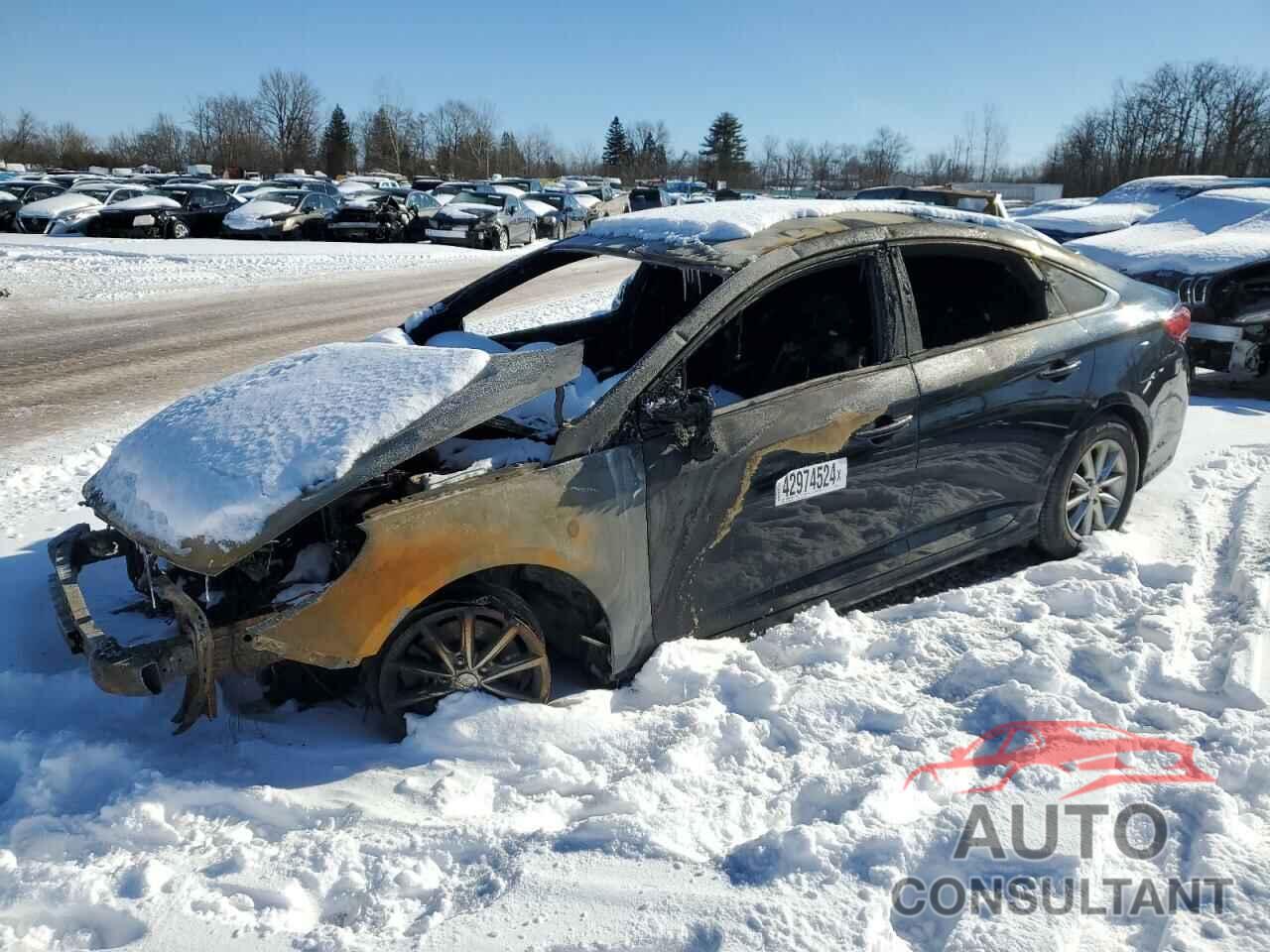 HYUNDAI SONATA 2018 - 5NPE24AF7JH698752