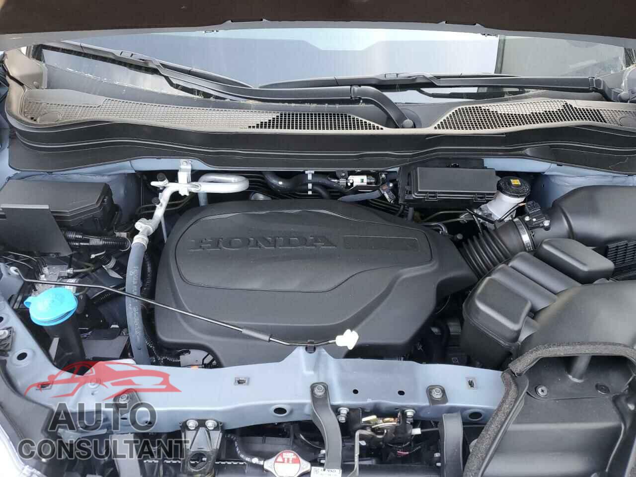 HONDA RIDGELINE 2023 - 5FPYK3F59PB036337