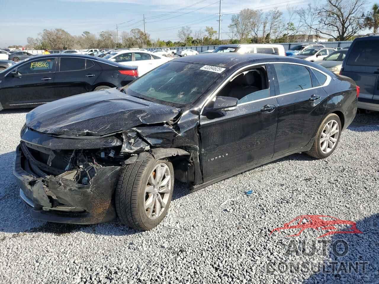 CHEVROLET IMPALA 2019 - 1G11Z5S36KU111994