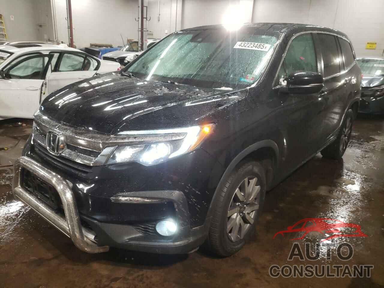 HONDA PILOT 2019 - 5FNYF6H49KB095559