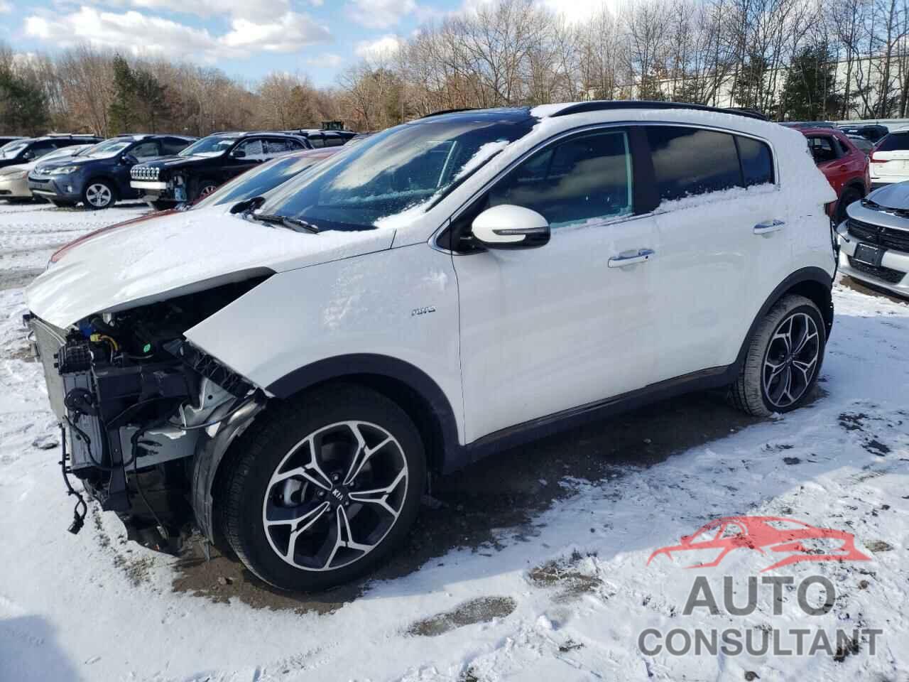 KIA SPORTAGE 2022 - KNDPRCA62N7990799