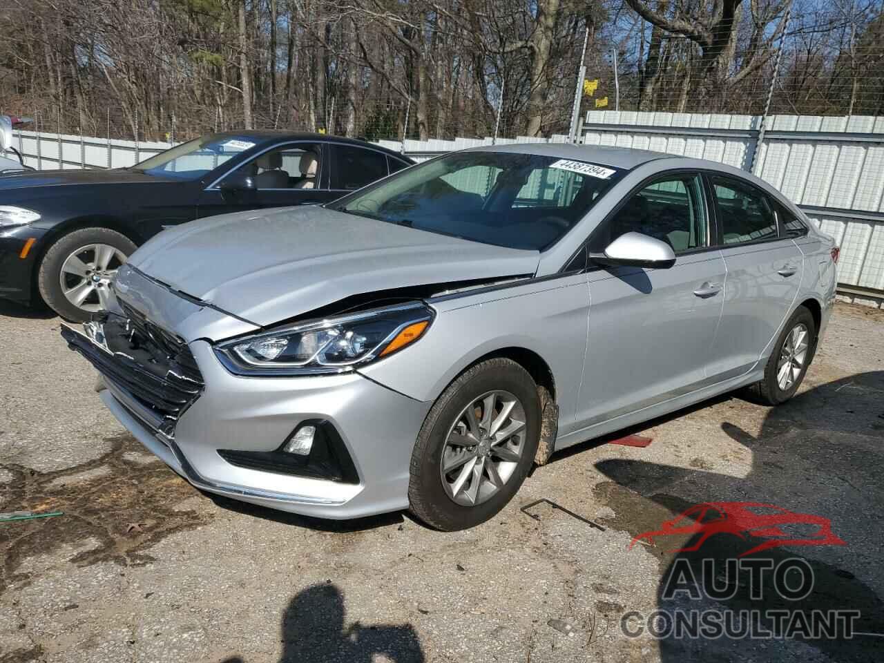 HYUNDAI SONATA 2019 - 5NPE24AF9KH795632