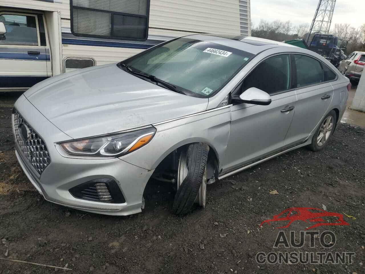 HYUNDAI SONATA 2019 - 5NPE34AF3KH735665