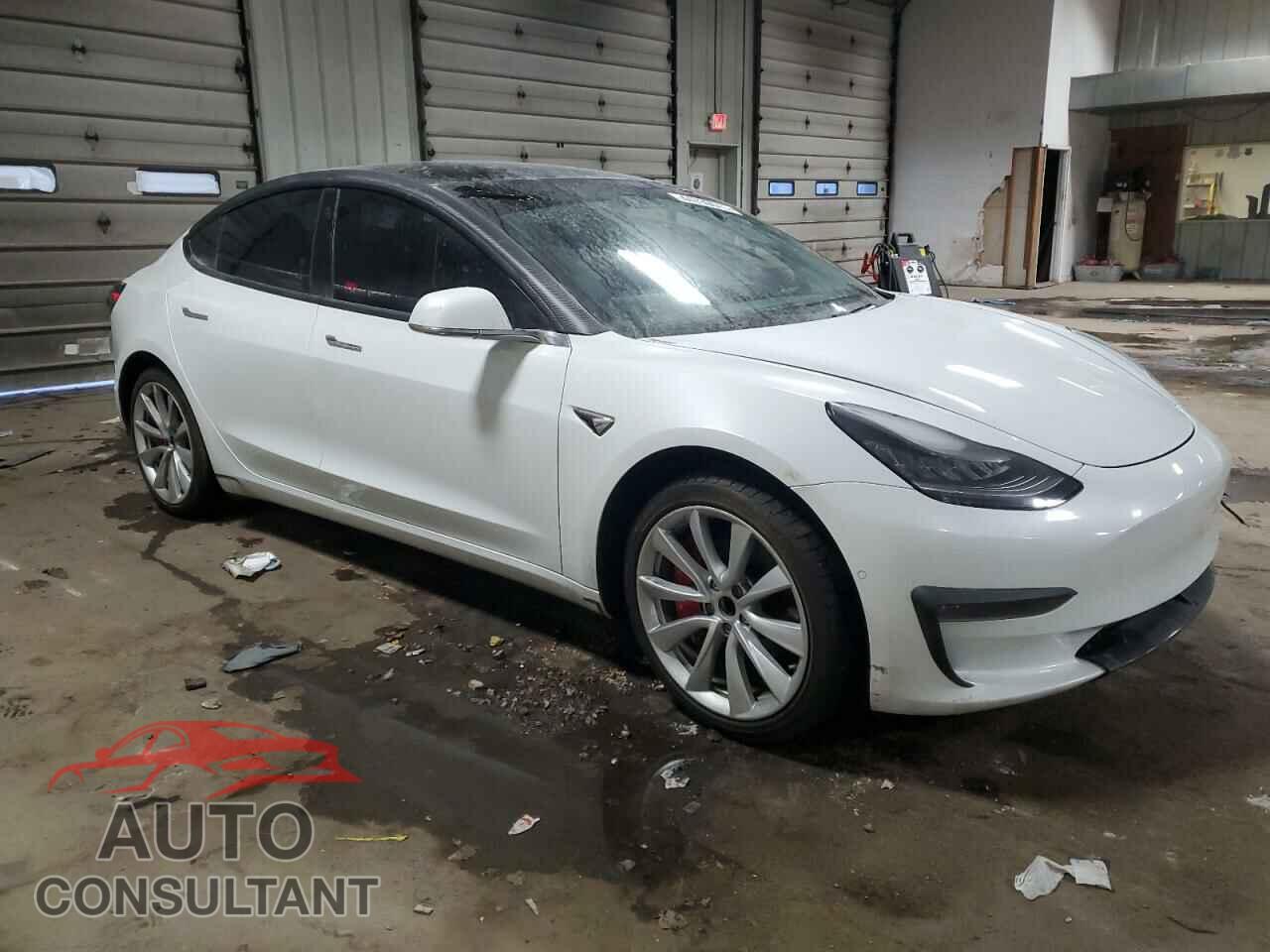 TESLA MODEL 3 2019 - 5YJ3E1EA8KF436198