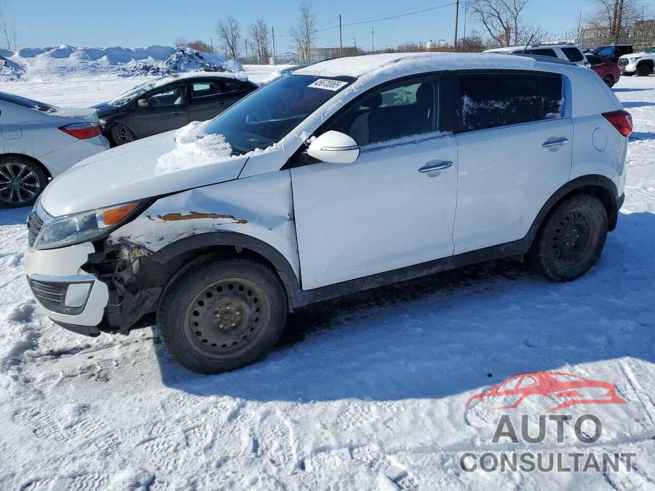 KIA SPORTAGE 2011 - KNDPC3A27B7176688