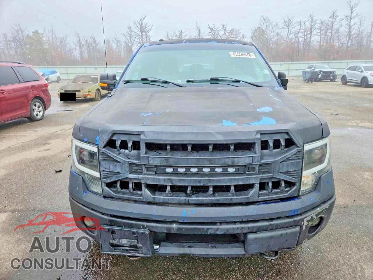FORD F150 2011 - 1FTFX1EF8BFD23883