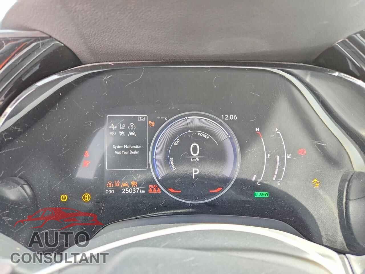 LEXUS UNKNOWN 2024 - 2T2BBMCA6RC034652