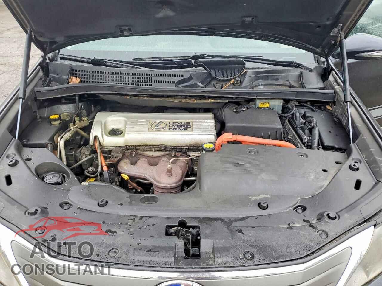 LEXUS HS 2010 - JTHBB1BA9A2019147