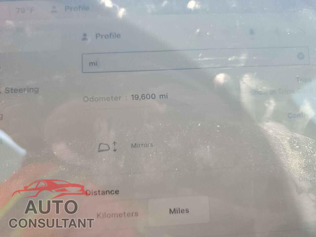 TESLA MODEL Y 2023 - 7SAYGAEE9PF856484