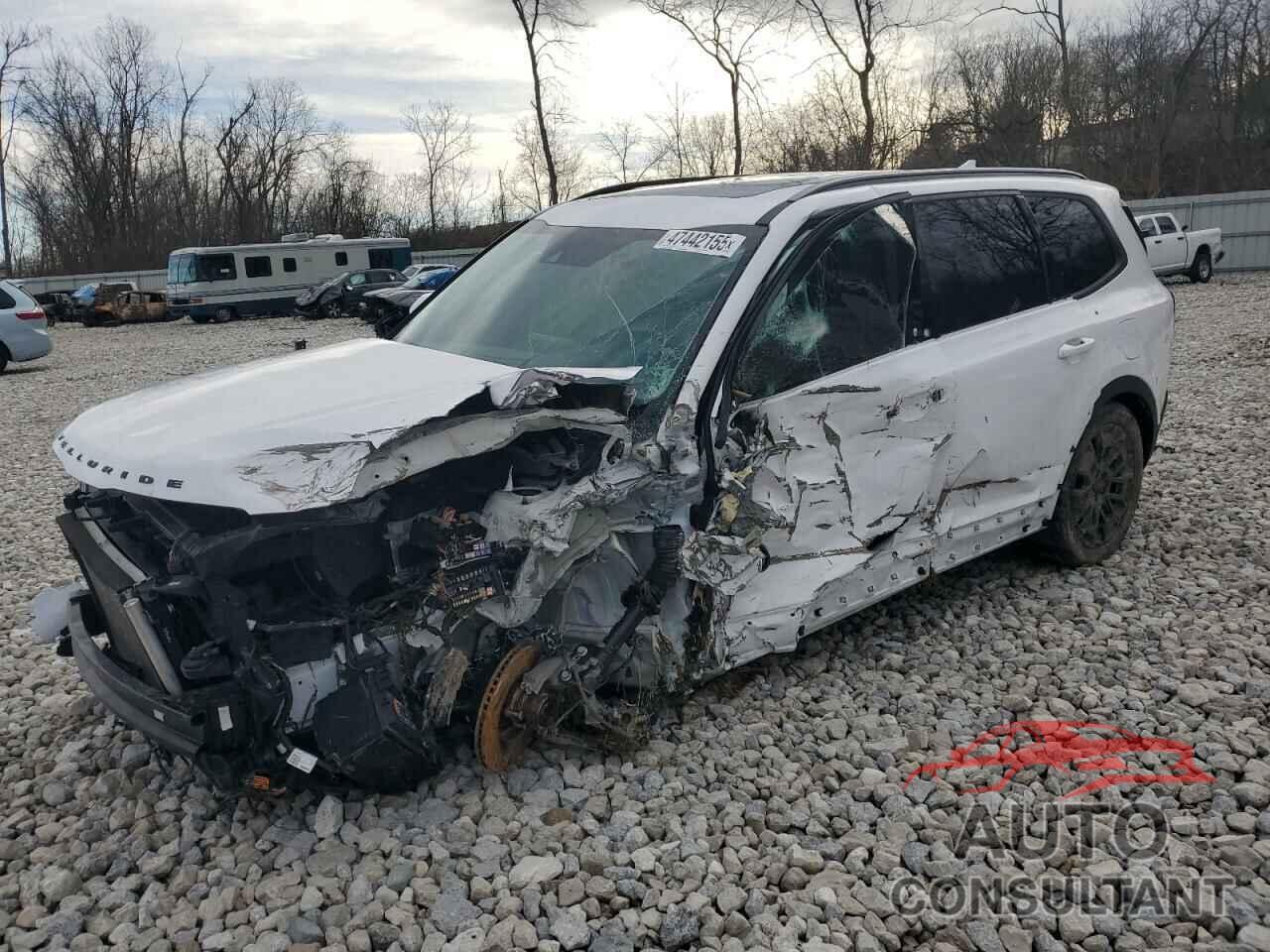 KIA TELLURIDE 2021 - 5XYP3DHC9MG145128